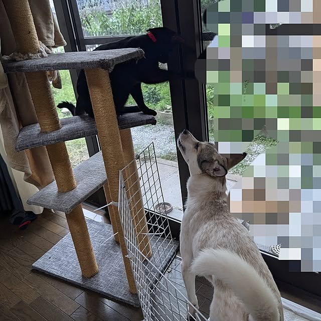 asaさんの部屋