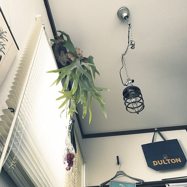 reon21さんの実例写真
