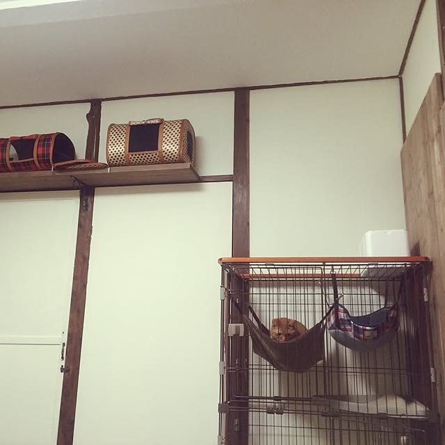 shiroinuさんの実例写真