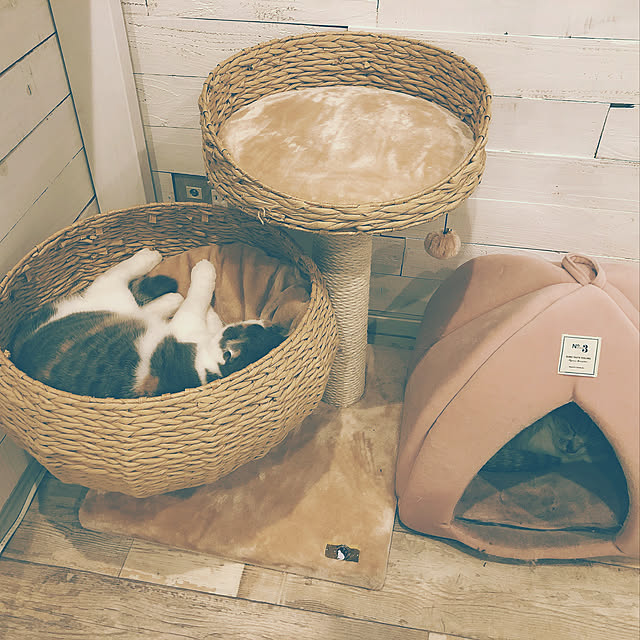 runtenさんの実例写真