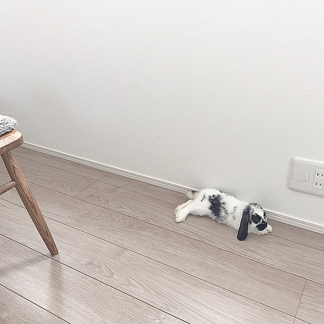 maaさんの実例写真