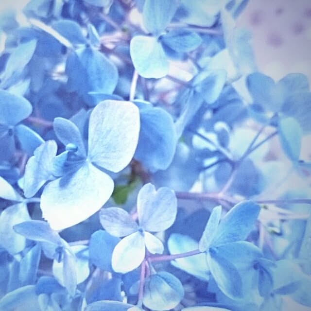 jules_takeさんの実例写真