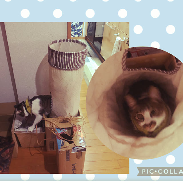 jijiさんの実例写真