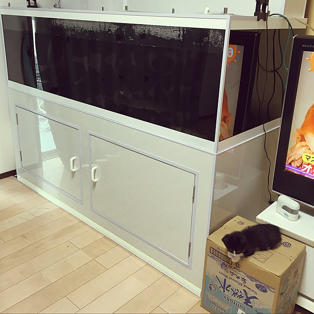 nekoさんの実例写真
