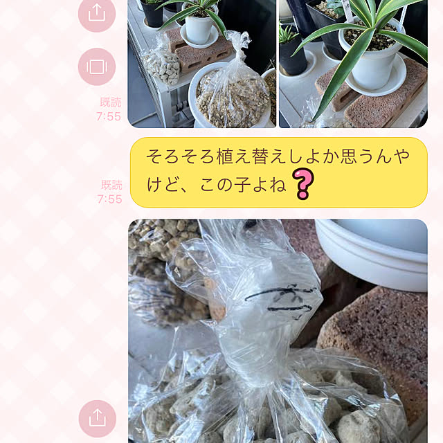 koshiregutyoさんの部屋