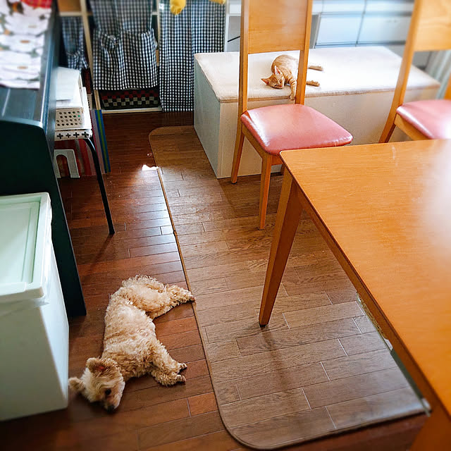 kikiさんの実例写真