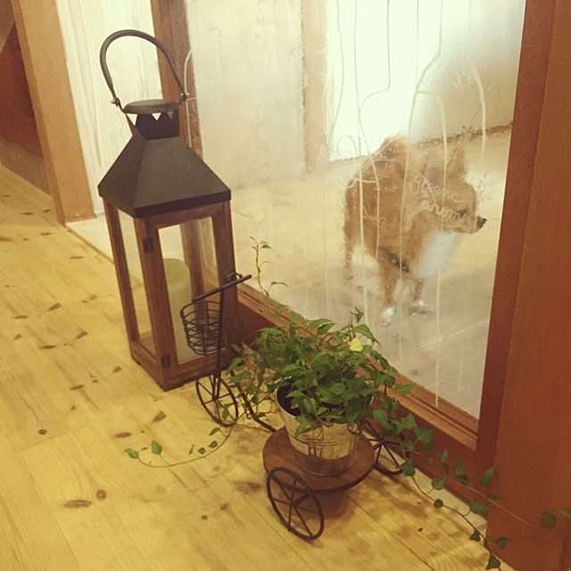 jasmin1223さんの実例写真