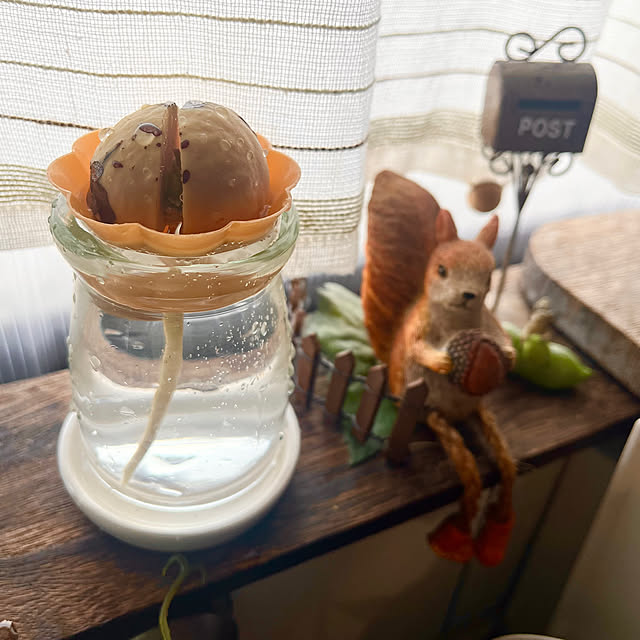 GowBooさんの部屋