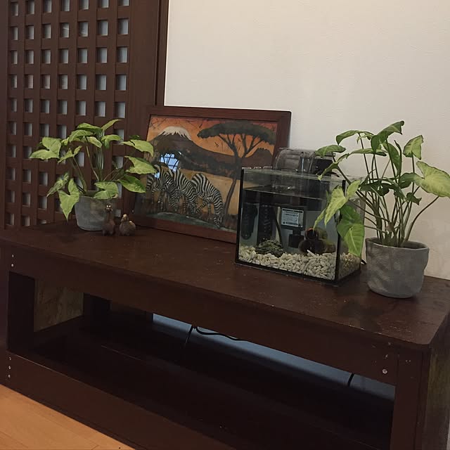 kodaminさんの実例写真