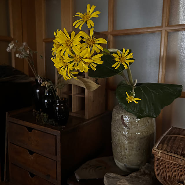 hasegawa3765saiさんの部屋