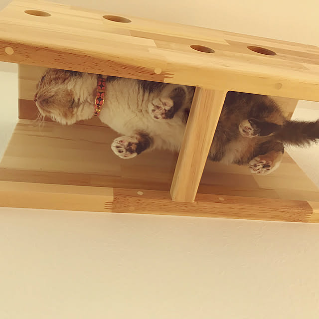 mamekinaさんの実例写真