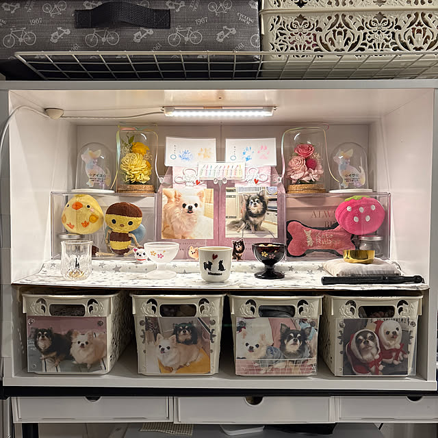 meguさんの実例写真