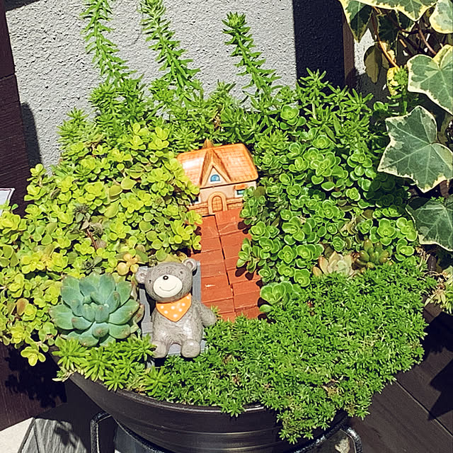 hinaさんの実例写真