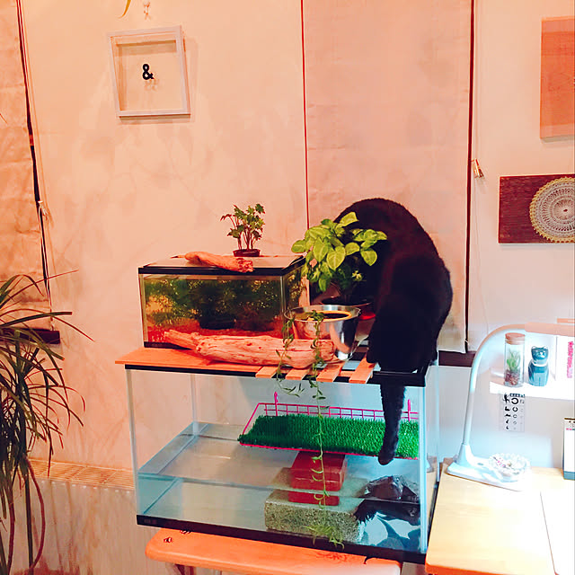 nanaさんの実例写真