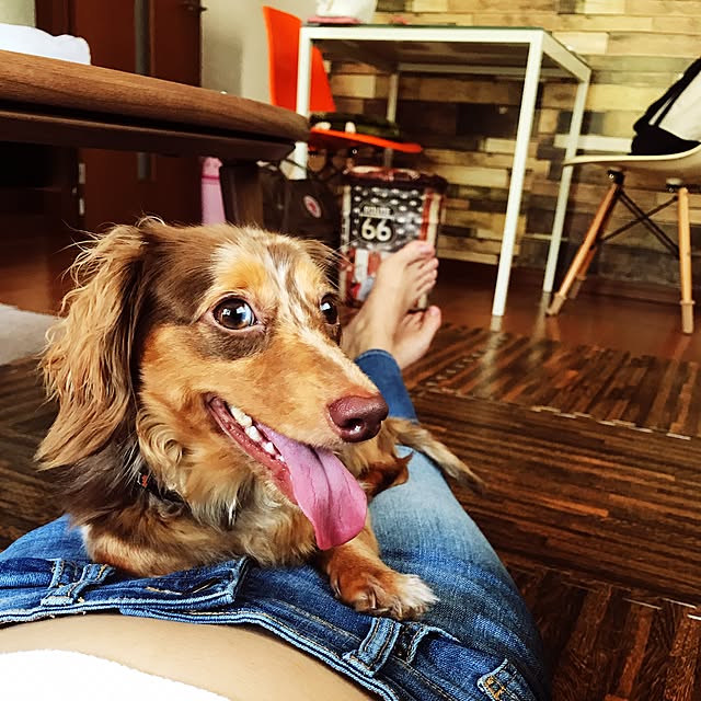 sqrumpyさんの実例写真
