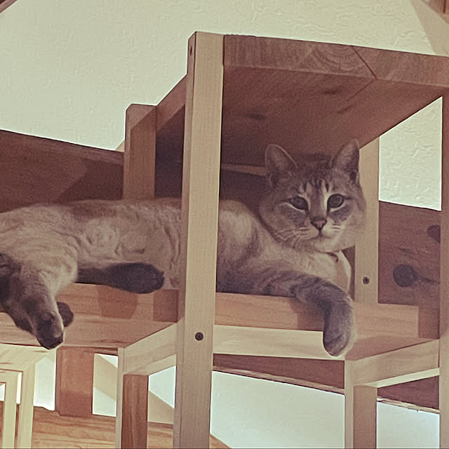 COCOさんの実例写真