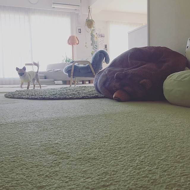 haruhinaさんの実例写真