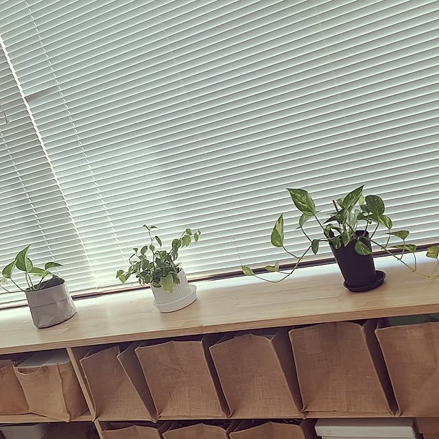 hanapanさんの部屋