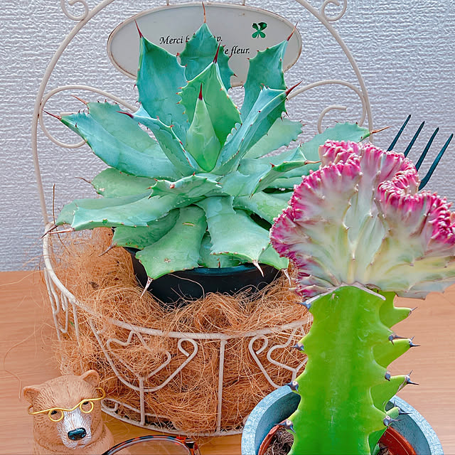 Hanakaさんの実例写真