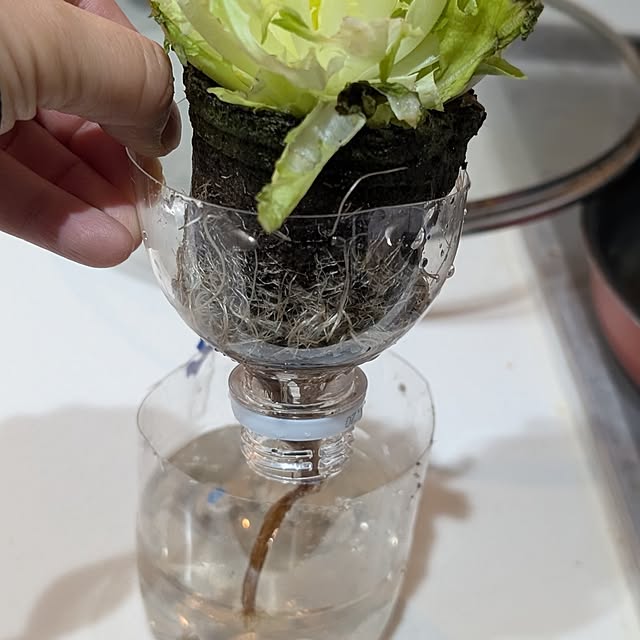 Meguさんの部屋