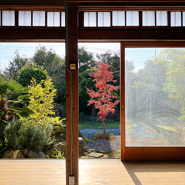 komemaruさんの実例写真