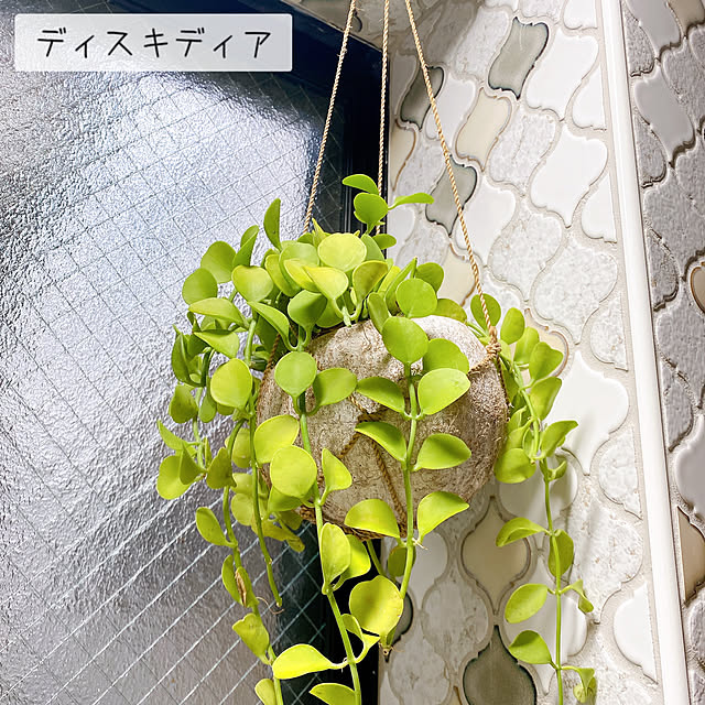 seki3さんの部屋