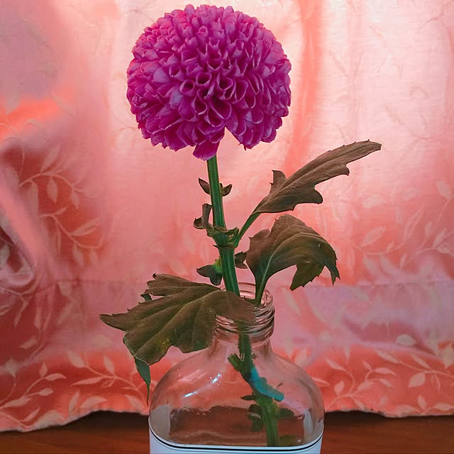 Vさんの実例写真