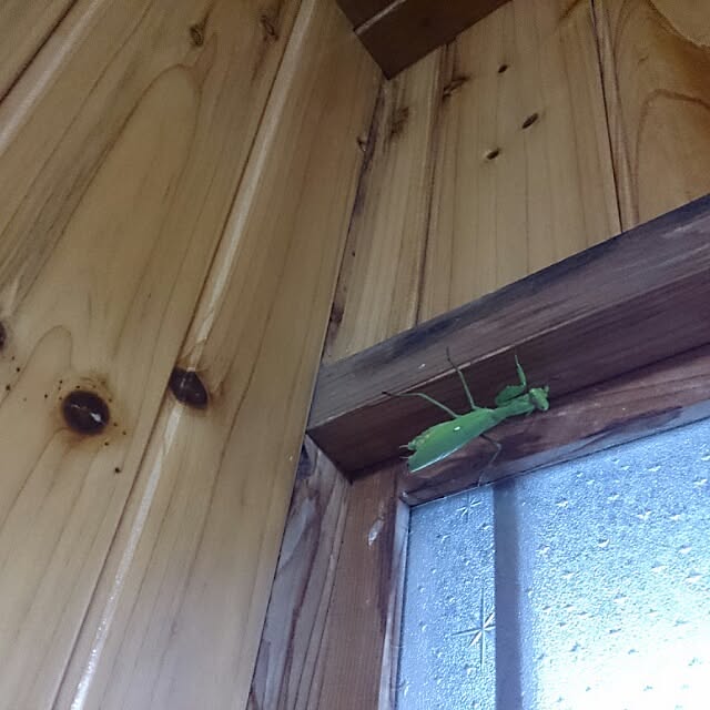 kikuさんの実例写真