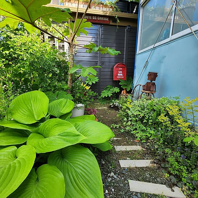 GreenHomeさんの部屋