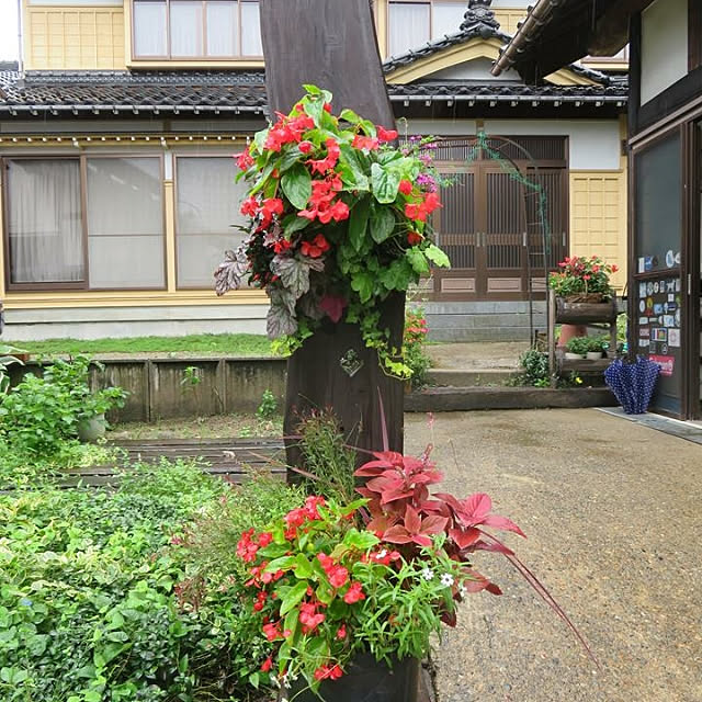 ashさんの実例写真