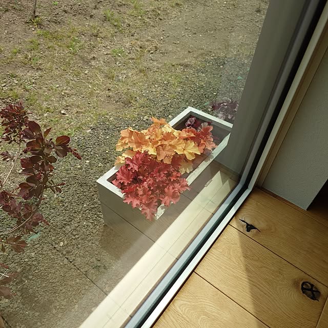 maison_de_yuki29さんの部屋