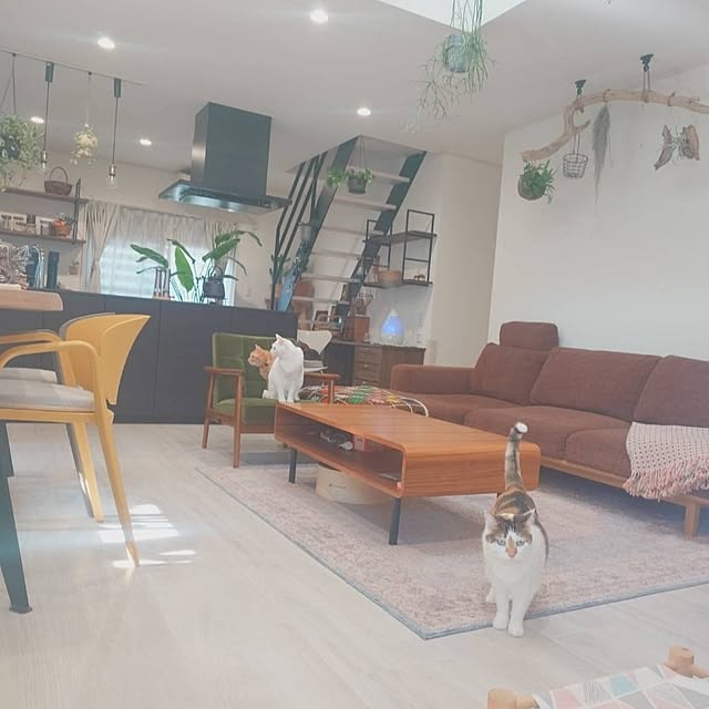 sa-chiさんの実例写真