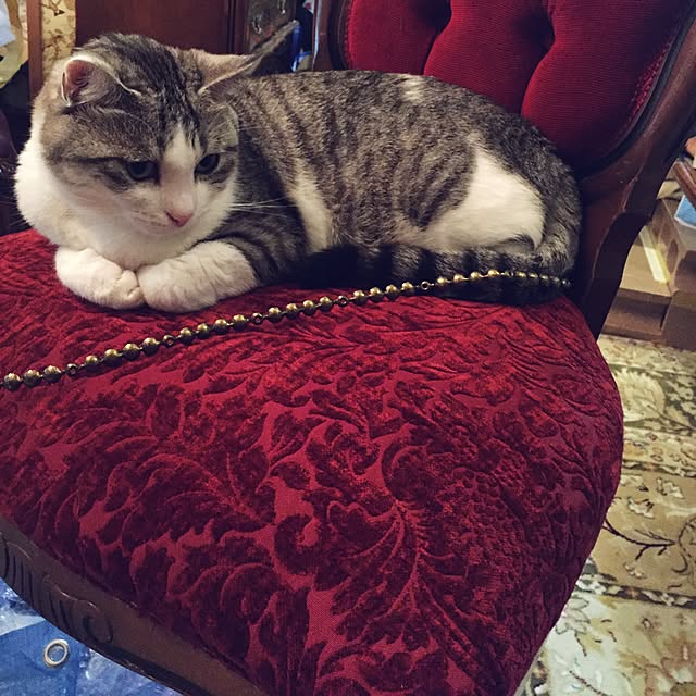emmyyさんの実例写真