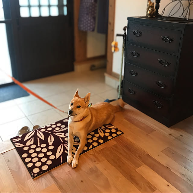 okadajapanさんの実例写真