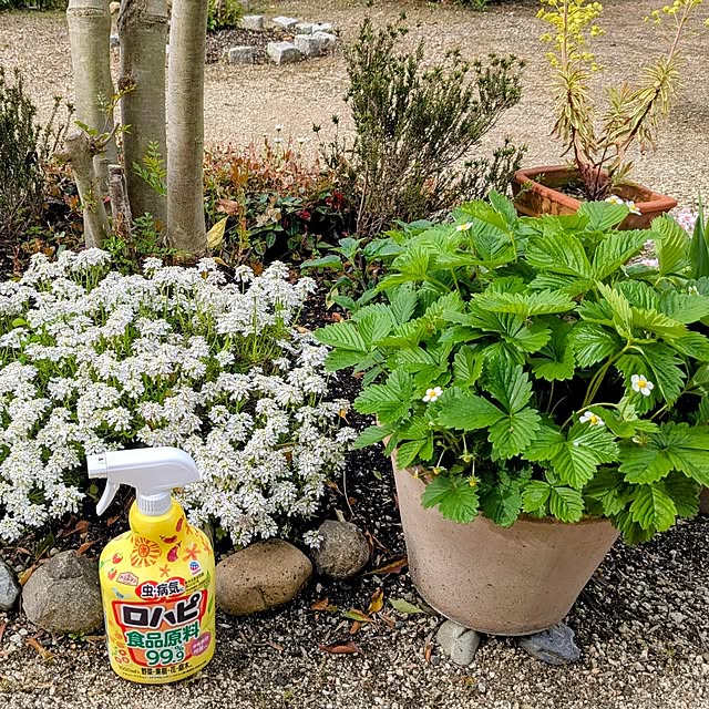 tabasaさんの実例写真