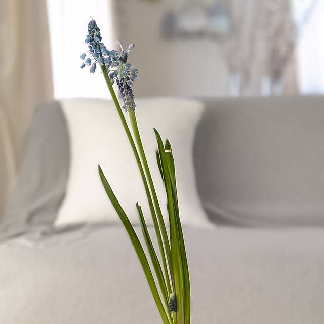 yukkin29さんの部屋