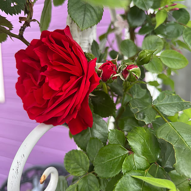 AYUKOさんの部屋