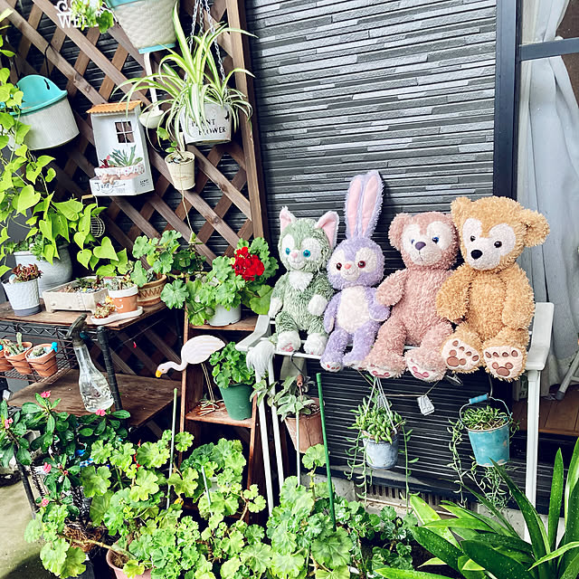 CoCo0617さんの実例写真