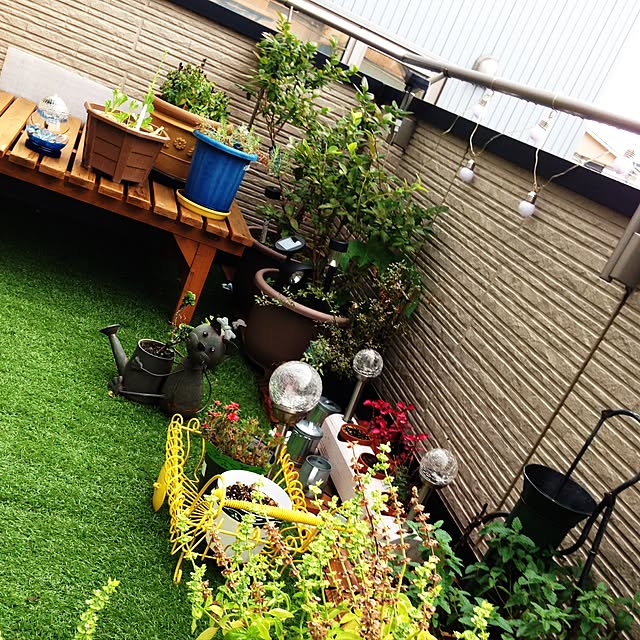実例写真