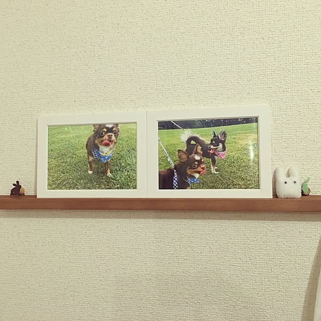 yuさんの実例写真