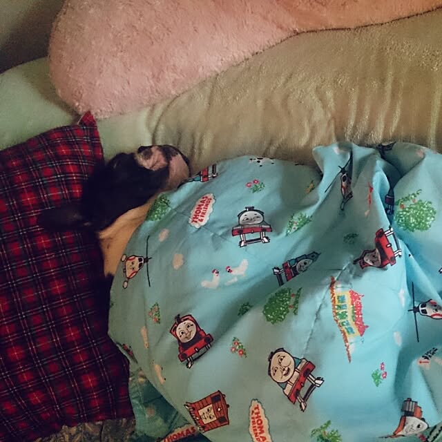maiさんの実例写真