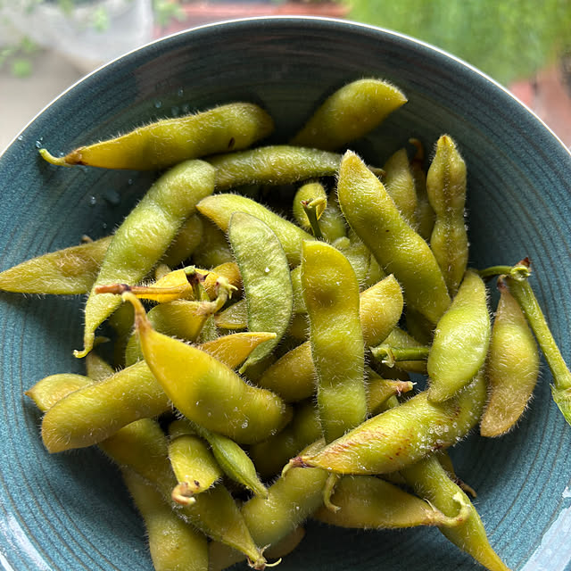 syutmmさんの部屋