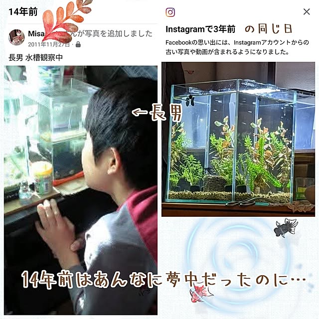 mi-saさんの部屋