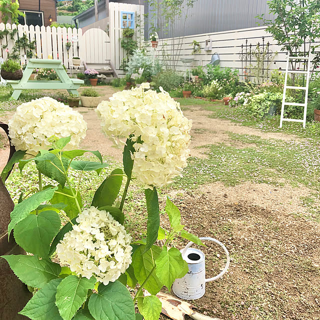 ponさんの実例写真
