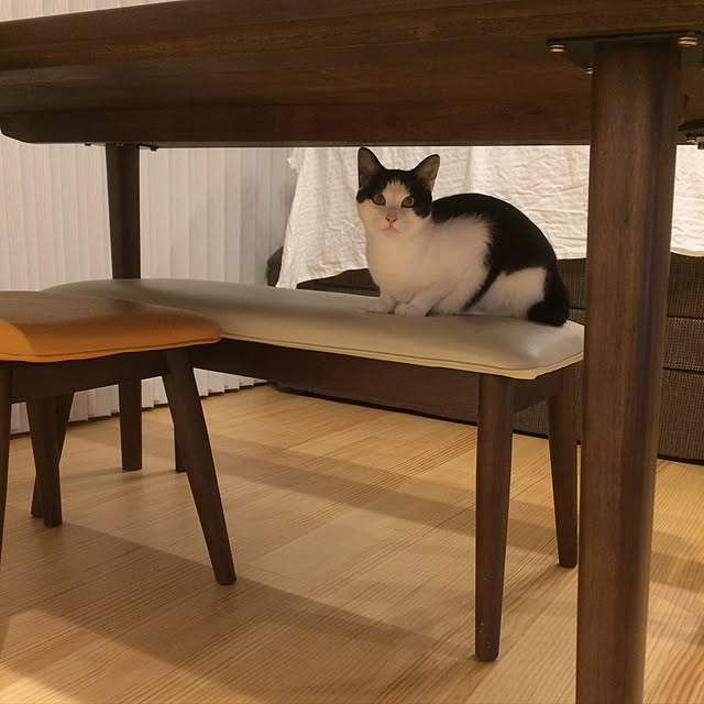 aruさんの実例写真