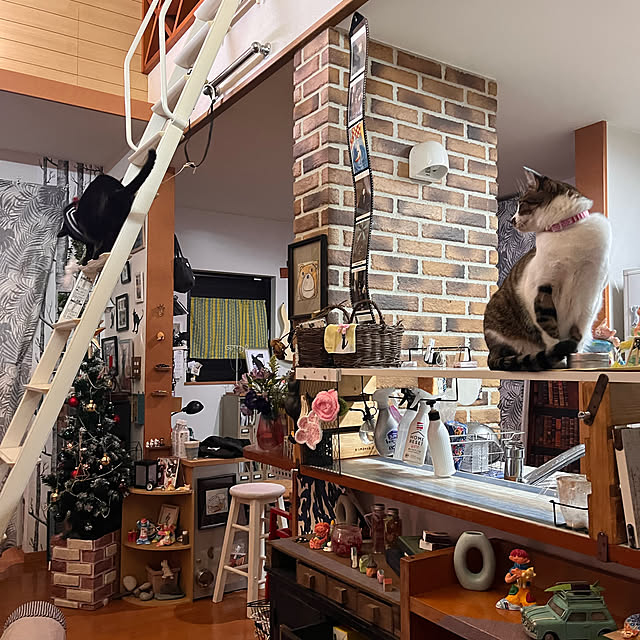 jijiさんの実例写真