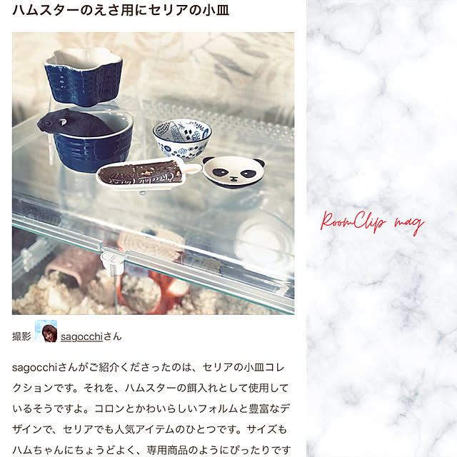 sagocchiさんの実例写真