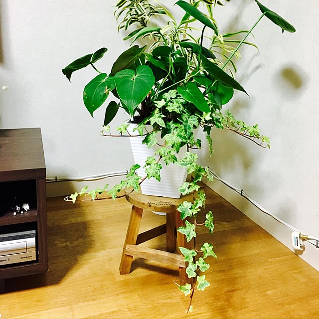 khj1974さんの実例写真