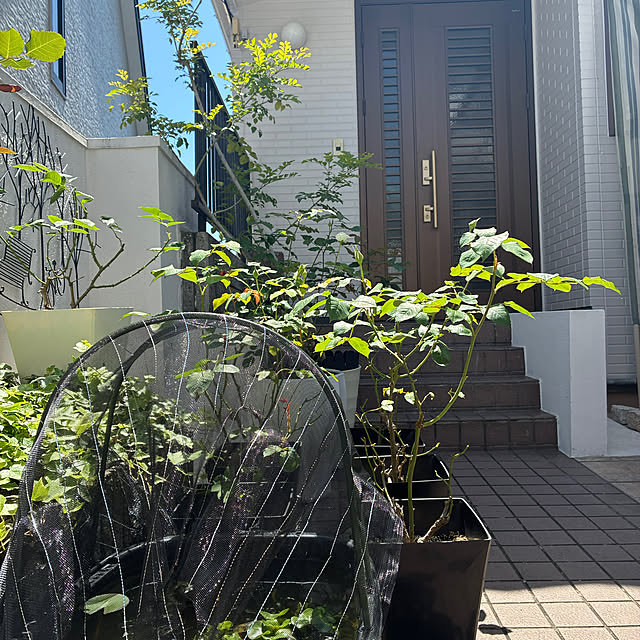 Nさんの部屋