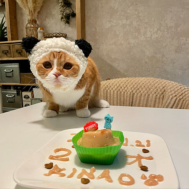 airararaさんの実例写真